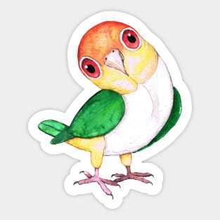 White bellied caique Sticker